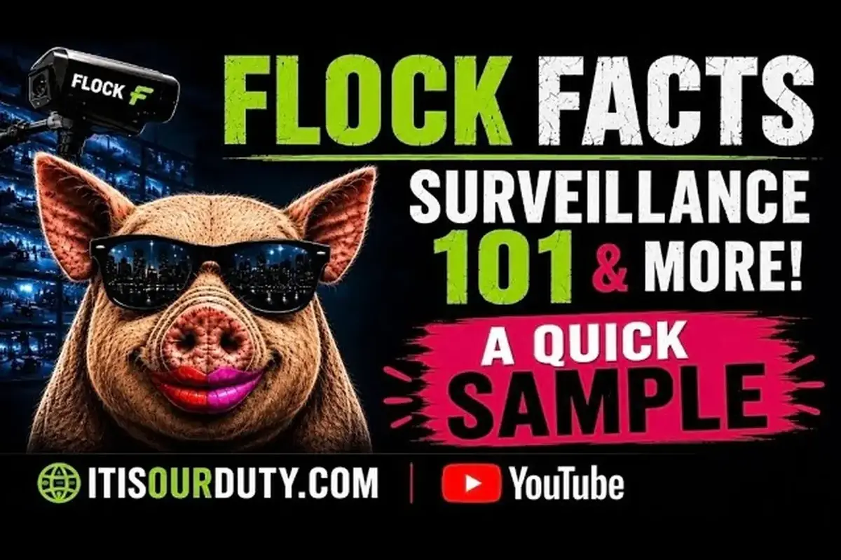 Read more about the article Flock Facts: Surveillance 101
