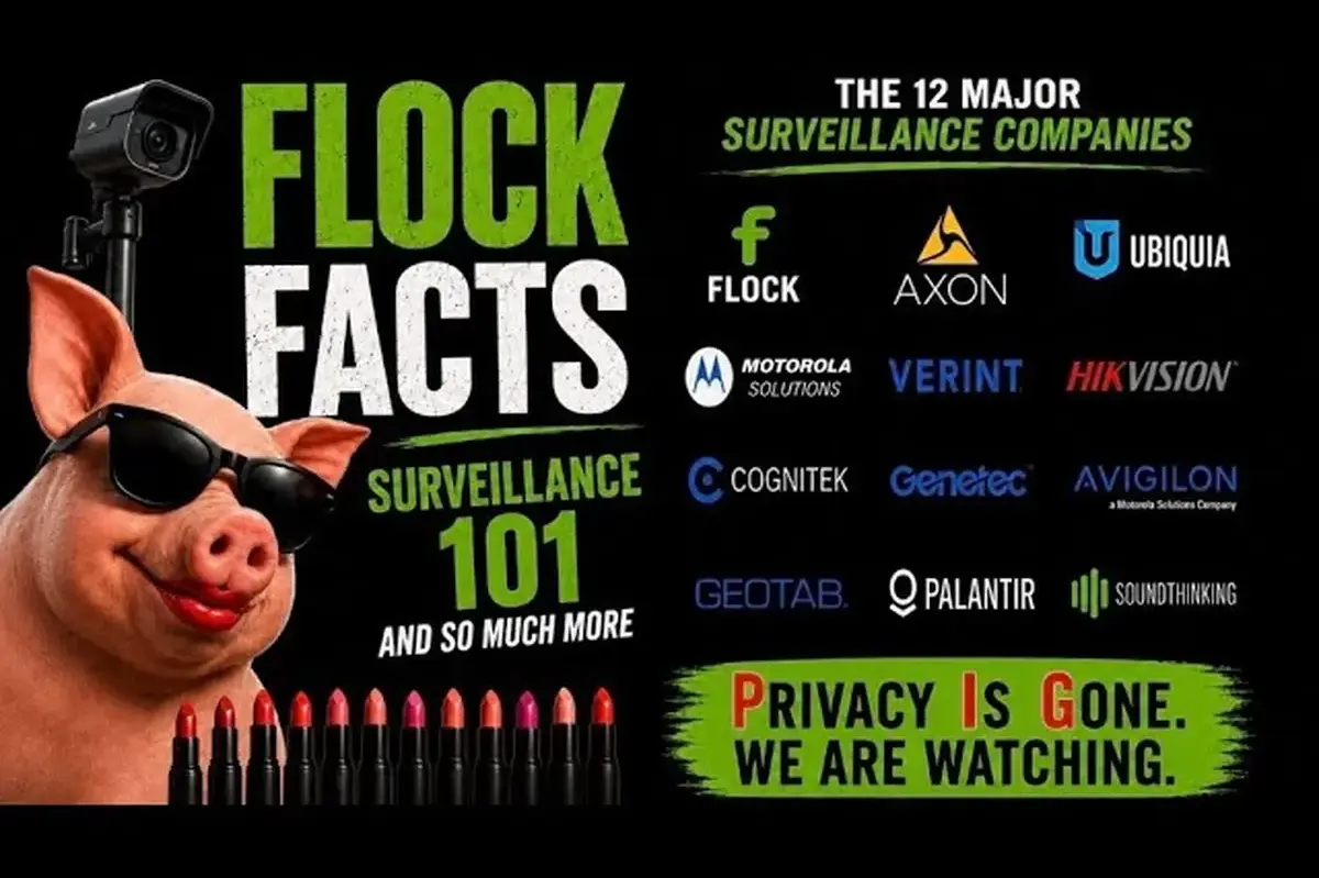 Read more about the article Flock Facts: The Full Picture